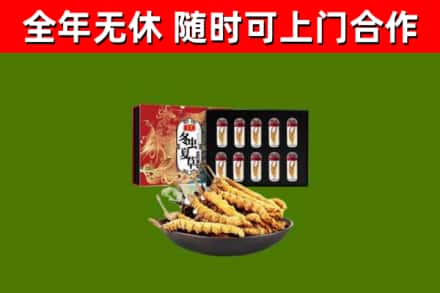 川汇区回收冬虫夏草价格