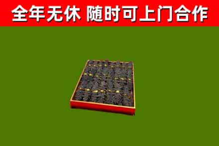 川汇区回收海参
